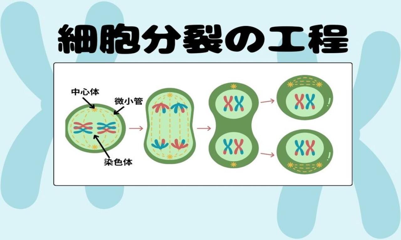 ポイント②：視覚的な要素を活用する