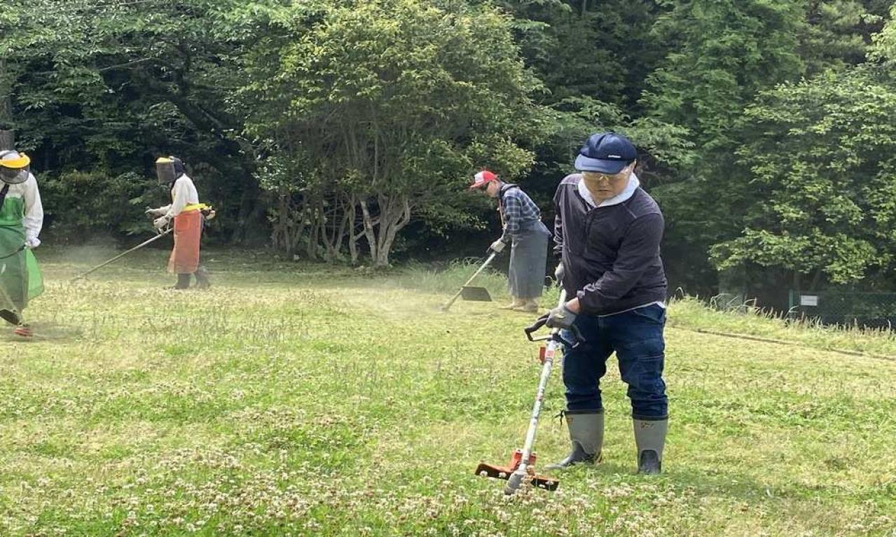 現在のお仕事スタイルにつながった経緯を教えてください。