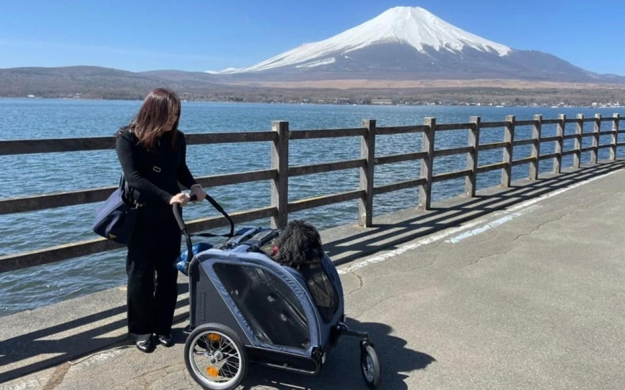 どうやってライターになったの？～KAKO MIRAIさん編～