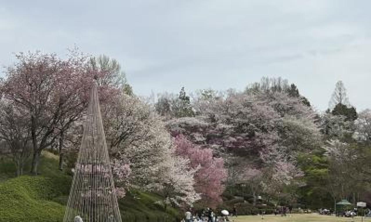 私の価値観を変えた本