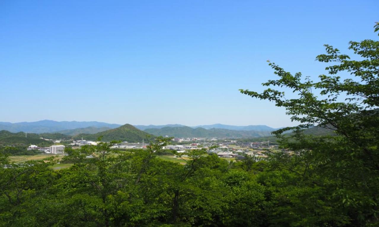 順風満帆な日々に突然大きな分岐点がやってくる