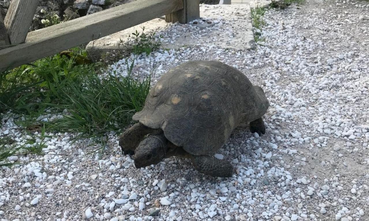 きつい時はどんな風に乗り越えましたか？