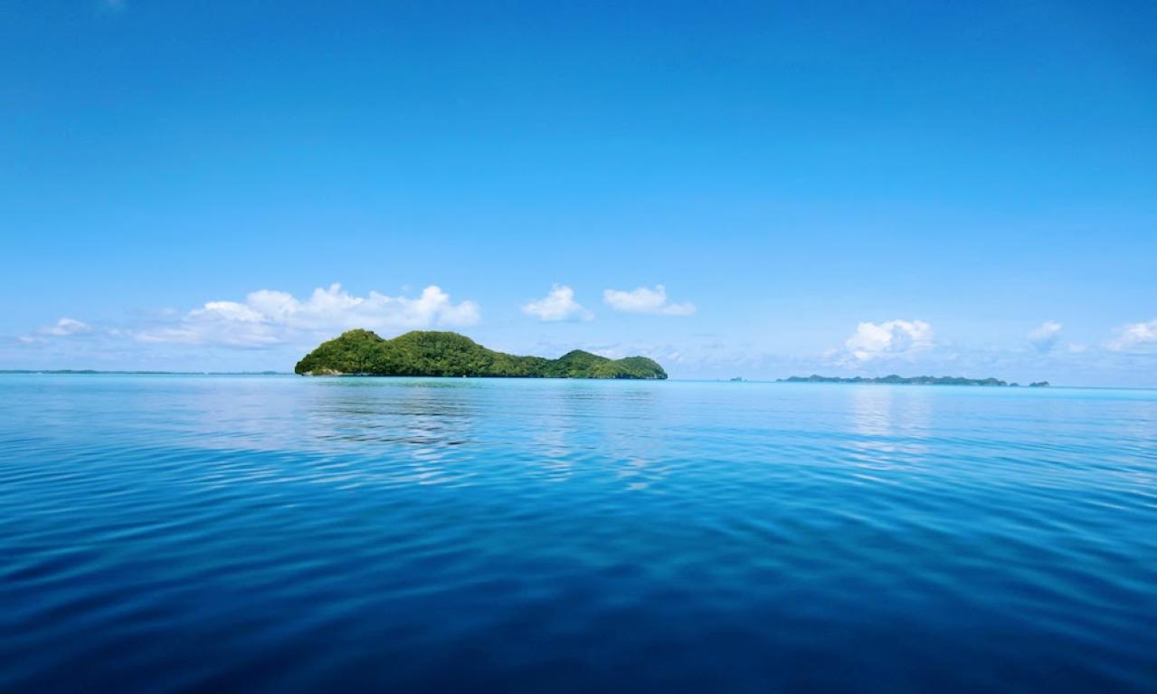 フリーランスになって海外旅行も頻繁に行けるように！画像はパラオの海