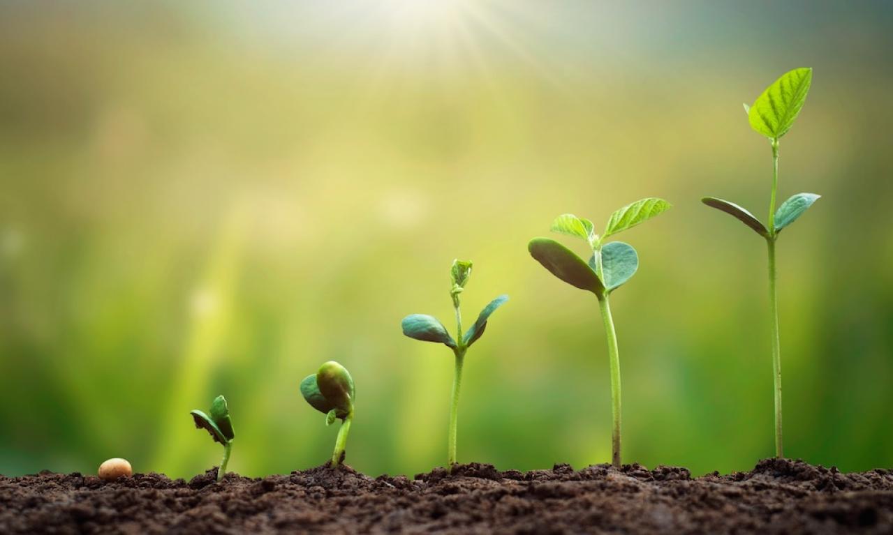 ライティングスキルはどのように磨いていますか？