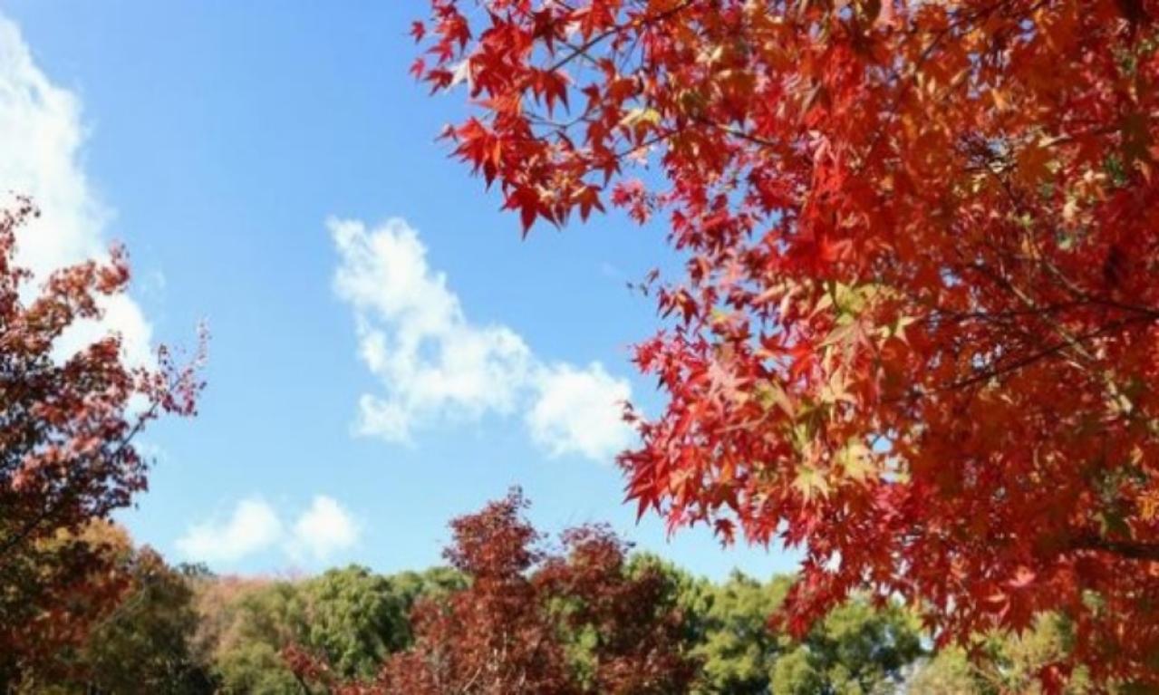 表現の幅を広げるには？