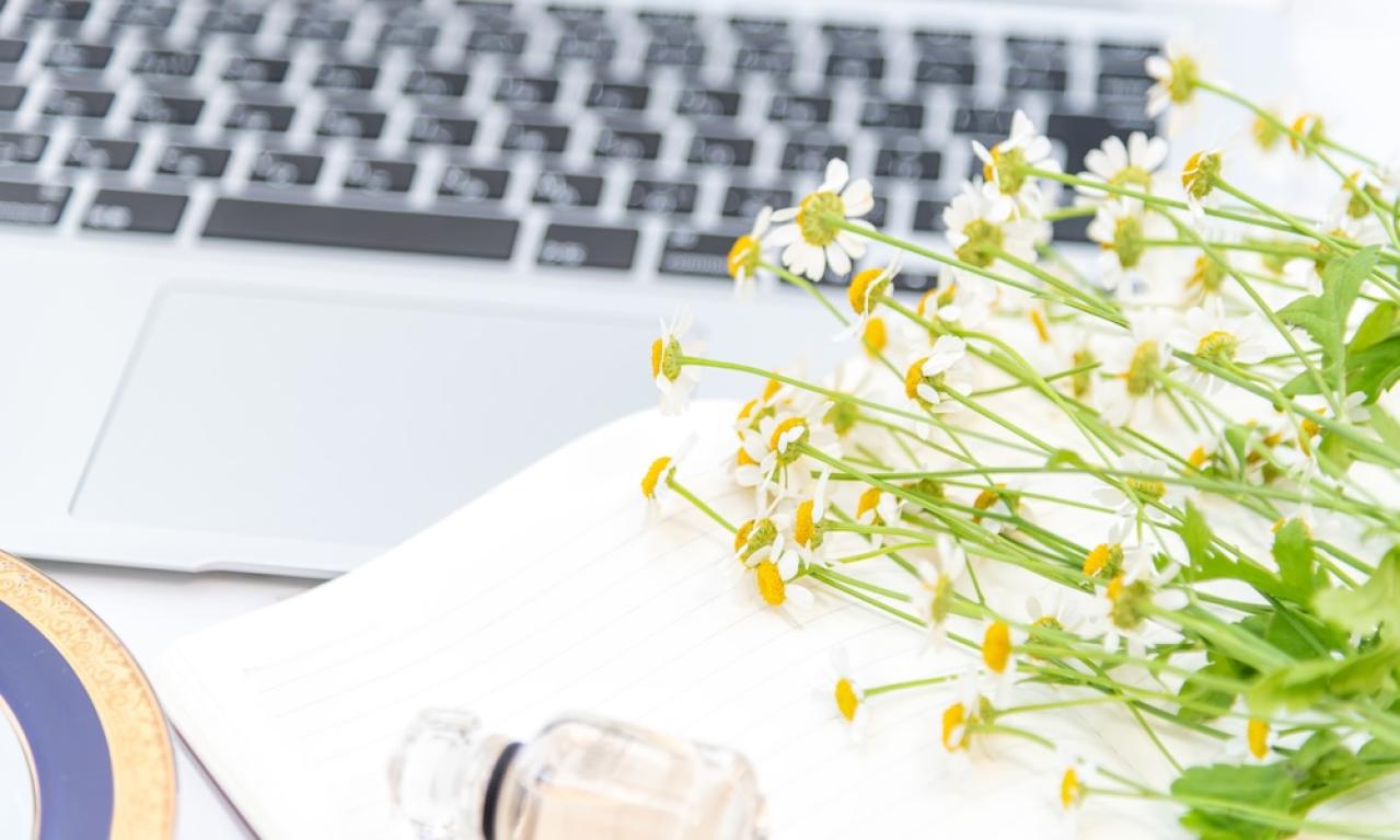 【初心者ライター向け】聞くべきアドバイスと、聞かなくてもいいアドバイス